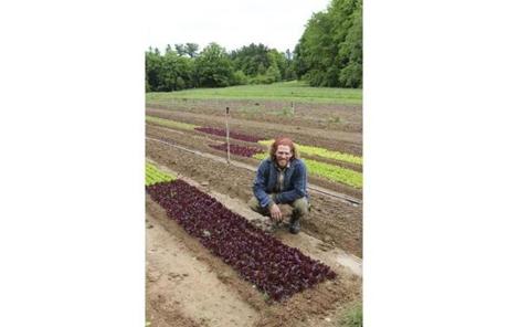 Market Gardener Josh Carter oversees a seven-acre organic garden that supplies produce to the restaurant.
