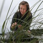 Kenly Hiller worked along the shore at the Waquoit Bay National Estuarine Research Reserve in Falmouth. Hiller is trying to raise $6,000 so she can design and study barriers that block nitrogen runoff from polluting coastal waters.