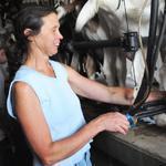 Ann Starbard milks dairy goats at Crystal Brook Farm. She considers the goats her co-workers.