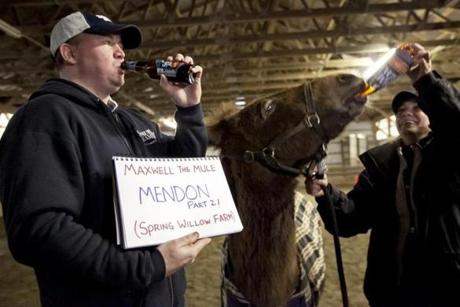 Todd Ruggere posed with a sign displaying the name of the town and place where he is sharing a beer with Maxwell House the mule. Julie Blackburn  a horseback riding instructor and donor for Ruggere's cause gave Max an iced tea.
