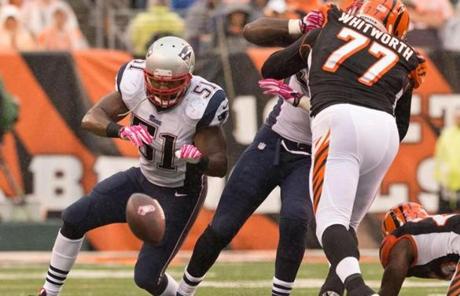 Jerod Mayo recovered a fumble by Bengals running back Giovani Bernard in the fourth quarter.
