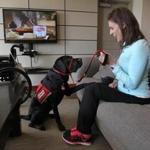 Jessica Kensky with Rescue, the black Lab service dog she was given by NEADS/Dogs for Deaf and Disabled Americans.