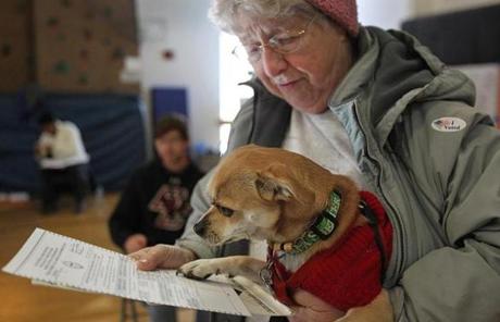 At the Oak Square YMCA in Brighton, Sarah Oliver voted with her rescue Chihuahua, Dixie. 
