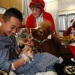 Lily, a 5-year-old miniature Appaloosa horse, kissed Alec Zeng, 16, of Quincy as Lily’s owner, Marsha Craig, a volunteer for Pet Partners, looked on at Floating Hospital for Children at Tufts Medical Center in Boston.