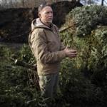 Bruce Fulford, President of City Soil & Greenhouse, stood in a pile of discarded Christmas trees in Dorchester.