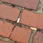 Cigarette butts littered Boston Common.