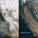 Images from the National Oceanic and Atmospheric Administration show California’s Sierra Nevada range covered in snow in January 2013 and mostly dry this week.
