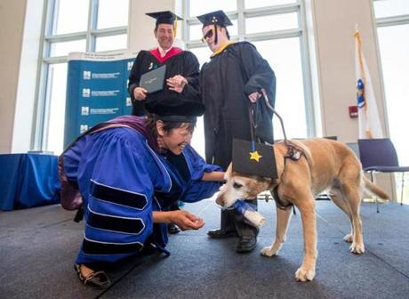 Connie Chan and Ira Jackson, associate dean and dean of McCormack Graduate School at UMass Boston, presented William O'Donnell and his guide dog Marshall with diplomas during the 2014 commencement.
