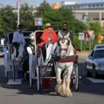 Carriage firms say a plan to move their staging area to Charlestown could mean the end of their businesses.