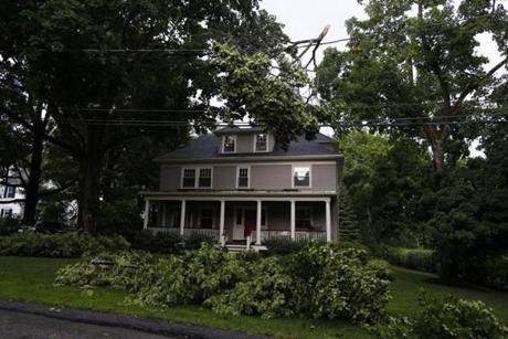 A branch hung on the power lines and fallen limbs covered the front yard of this Lexington home after storms swept through the area Monday evening.
