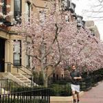 Condos in neighborhoods like Boston?s Back Bay are fetching record prices.