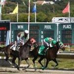 A race at Suffolk Downs on Wednesday
