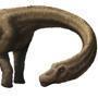 Dreadnoughtus Schrani: Named after a British battleship.