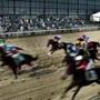 Horses rounded the track at Suffolk Downs last year.