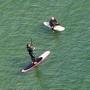 The picture shows one person standing up, apparently paddleboarding, while a second person straddles a surfboard.