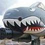 The A-10 found new life after 2001 supporting ground troops. It is credited with coming to the aid of countless soldiers pinned down by enemy forces in recent conflicts.