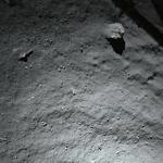 An image taken by the lander shows that the surface of the comet is covered by dust and debris. 