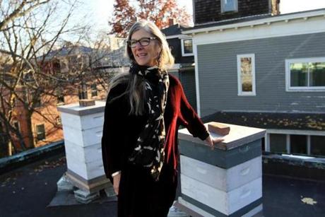 Rabbi Liza Stern checked on her bees, mostly dormant now with the cold, which she keeps on the roof next to her synagogue in Cambridge.
