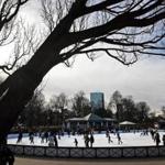 People skating on the Frog Pond ice rink on Boston Common. 