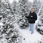 Jenny Howell stands among snow-covered Christmas trees on her family-run Iowa farm. 