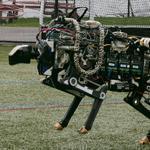 In this Oct. 24, 2014 photo, researchers Randall Briggs, left, and Will Bosworth monitor a robotic cheetah during a test run on an athletic field at the Massachusetts Institute of Technology in Cambridge, Mass. MIT scientists said the robot, modeled after the fastest land animal, may have real-world applications, including for prosthetic legs. (AP Photo/Charles Krupa)