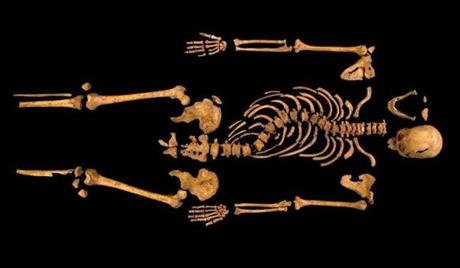 Remains found underneath a car park in Leicester, England, in September 2012 have been declared ?beyond reasonable doubt? to be the long lost remains of England?s King Richard III.
