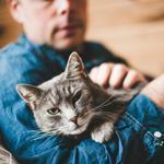 A study found cat owners were more likely to survive a heart attack than those who never owned cats.