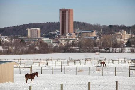 Horses in a pasture south of the University of Massachusetts-Amherst campus.
