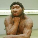 Almost human: A photographer snapped pictures of a reconstruction of a Neanderthal at a German museum in 2004.