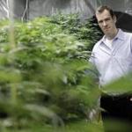 Seth Bock at his Rhode Island medical marijuana center.
