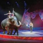 Ringling Bros.? owners described the decisions as the bittersweet result of years of internal family discussions. 