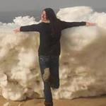 Andrea Cordeiro went to Duck Harbor, along Wellfleet?s inner bay, to check out the ice chunks.