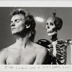 Duane Michals?s ?Sting Looking Like a Young Danny Kaye? shows the photographer?s affinity with Surrealism.