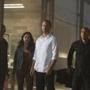 The star-studded cast of ?Furious 7? includes (from left) Tyrese Gibson, Michelle Rodriguez, the late Paul Walker, and Chris ?Ludacris? Bridges.