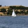 A sailboat passed by Spectacle Island in Boston Harbor.