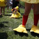 At 9 months old, Madilyn Smith of Manchester-by-the-Sea, perhaps the littlest duckling of all, drew a lot attention during the annual Duckling Day Parade in Boston.