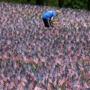 A veteran helped place flags on Boston Common on Wednesday to honor fallen military members from Mass.