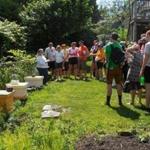 06bees - Attendees visited a bee apiary during last year's 
