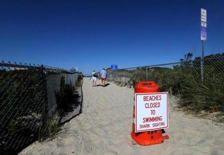 Plymouth officials closed public beaches after a shark sighting last year.
