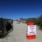 Plymouth officials closed public beaches after a shark sighting last year.