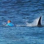 Australian surfer Mick Fanning was attacked by a shark during the JBay Open in Jeffrey?s Bay.
