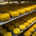 Heads of cheese were seen in storage at John Kopiski?s farm, in Krutovo village east of Moscow, Russia.
