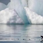 ?Shrinking ice caps forced National Geographic to make the biggest change in its atlas since the Soviet Union broke apart,? President Obama said. 