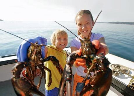 Haul in lobsters in Casco Bay, Maine 
