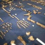 The skeleton of Homo Naledi