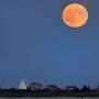 A supermoon rose over Long Beach in Plymouth Bay.