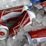 Budweiser beer cans. 