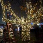 Nick Roberts works on the holiday lights display at the Cape Codder Resort and Spa in Hyannis.