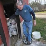 Adrian Collins, owner of the Out Post Farm in Holliston, disinfected his shoes before entering a poultry barn.
