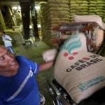 A worker loads a 60-kg jute bag of coffee beans for export onto a belt at a coffee warehouse in Santos, Brazil, December 10, 2015. By introducing massive plastic sacks to replace the 60-kg (132-lb) jute bags that have dominated coffee shipments for more than two centuries, firms are saving millions of dollars a year, in a move so successful it is expected to reshape the global industry. Until a few years ago, the world's biggest coffee producer dispatched nearly all its exports in jute bags. Next year will see Brazil export more than half its green coffee in 1-tonne polypropylene 'super sacks' or 21.6-tonne polyethylene liners. Picture taken December 10, 2015. REUTERS/Paulo Whitaker